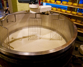 Food Processing Application of a Custom Heat Solution to Maintain Food Temperature Food Processing Application of a Custom Heat Solution to Maintain Food Temperature