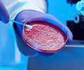 Medical Application of a Custom Silicone Rubber Heater Medical Application of a Custom Silicone Rubber Heater