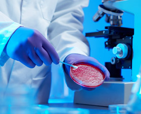 Medical Application of a Custom Silicone Rubber Heater Medical Application of a Custom Silicone Rubber Heater